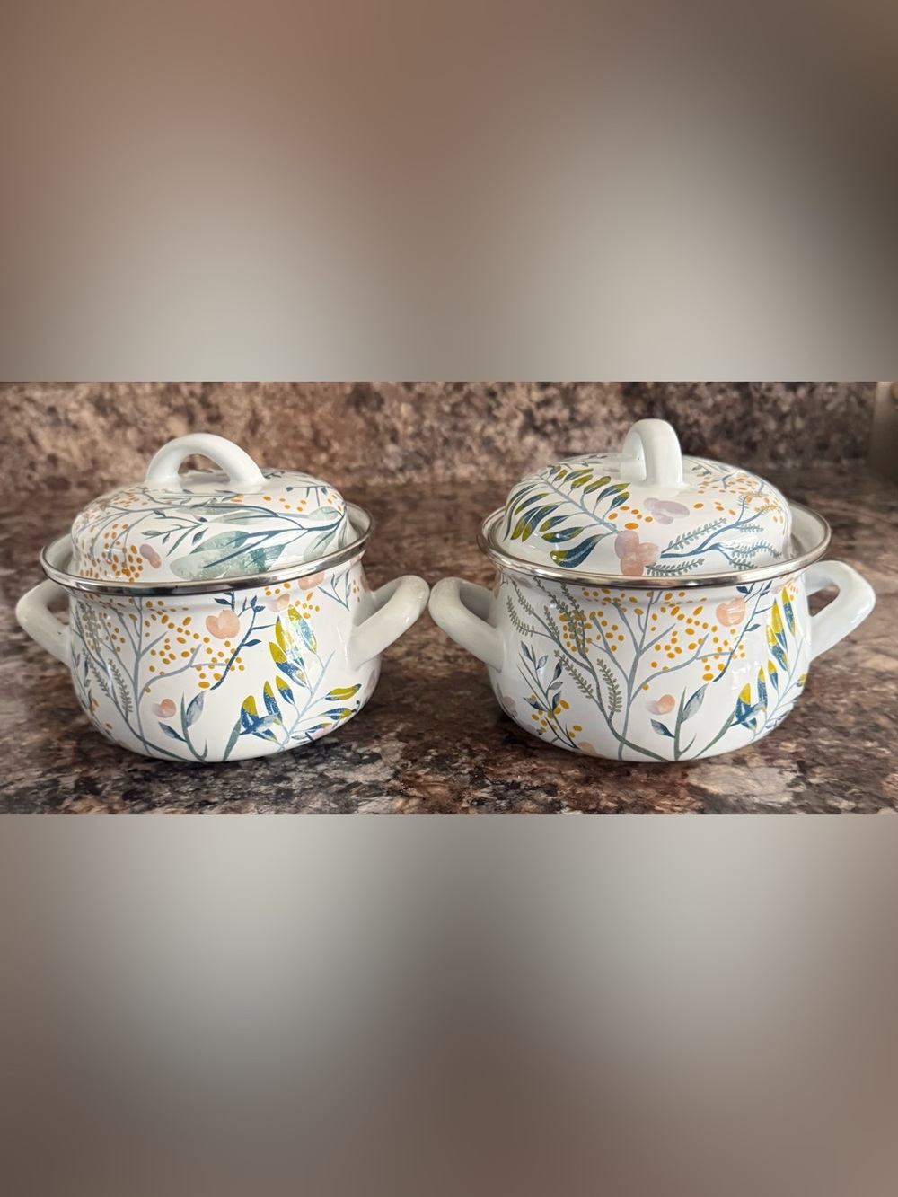 Crofton 1 Qt Enameled Steel Pot Floral with Lid Double Handles Set Of 2 NEW